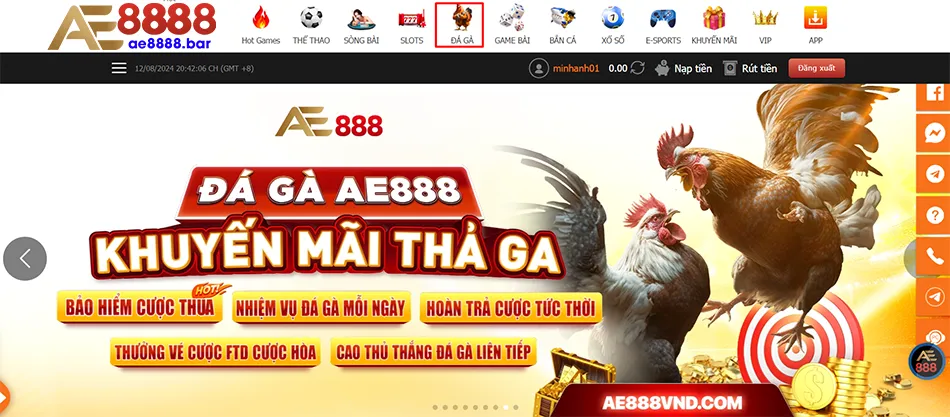 Các bước hướng dẫn tham gia đá gà AE8888 từ A đến Z
