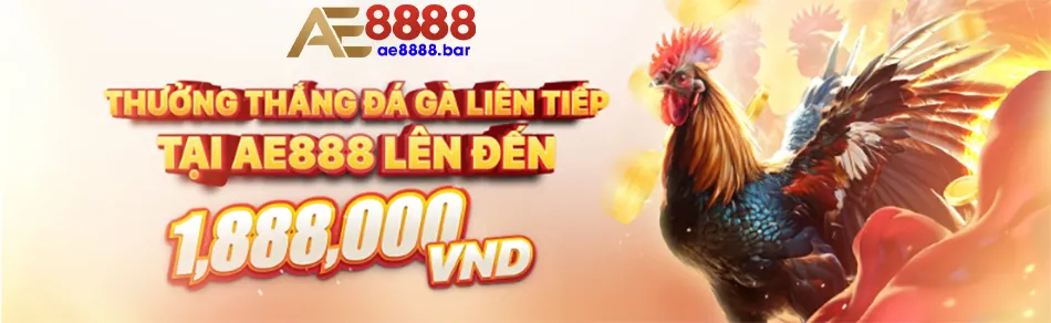 Cần một số lưu ý khi tham gia đá gà AE8888